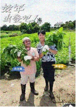 努努影视治愈短剧深夜电台